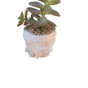 עיצוב ייחודי של פרצוף/דמות מבון פולימרי טבעי בעבודת יד